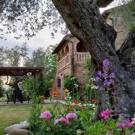 Agriturismo Terralieta Розето дели Абруци Екстериор снимка