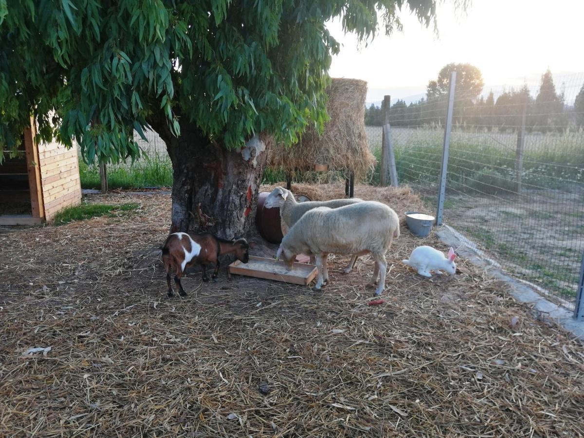 Agriturismo Terralieta Розето дели Абруци Екстериор снимка