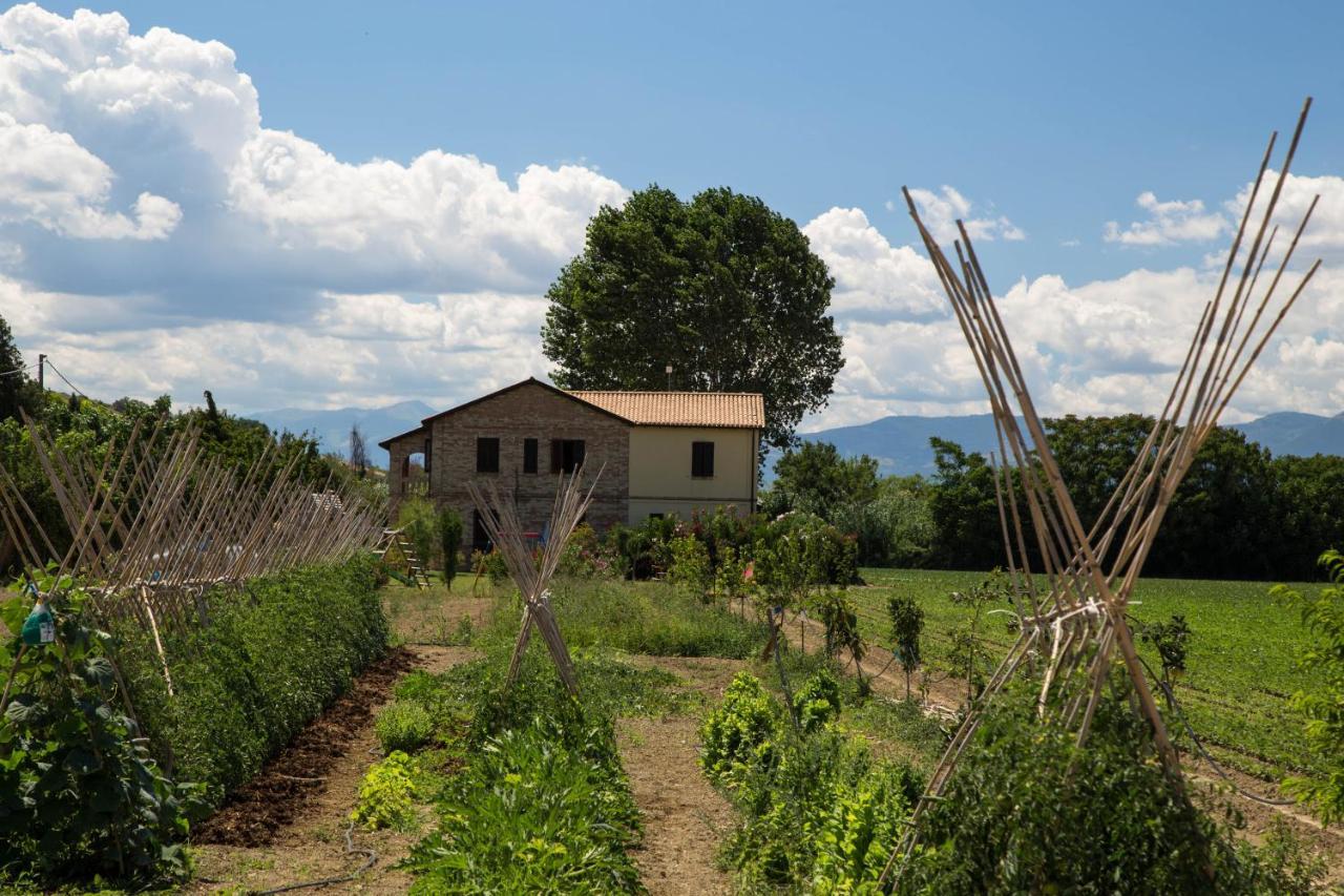 Agriturismo Terralieta Розето дели Абруци Екстериор снимка