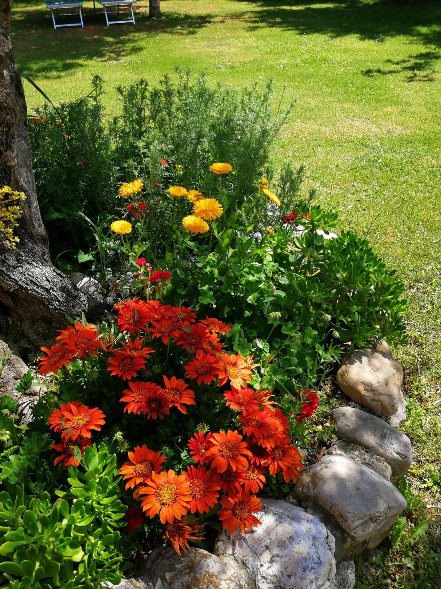 Agriturismo Terralieta Розето дели Абруци Екстериор снимка